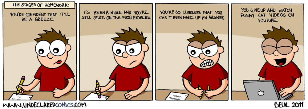 The Stages Of Homework
